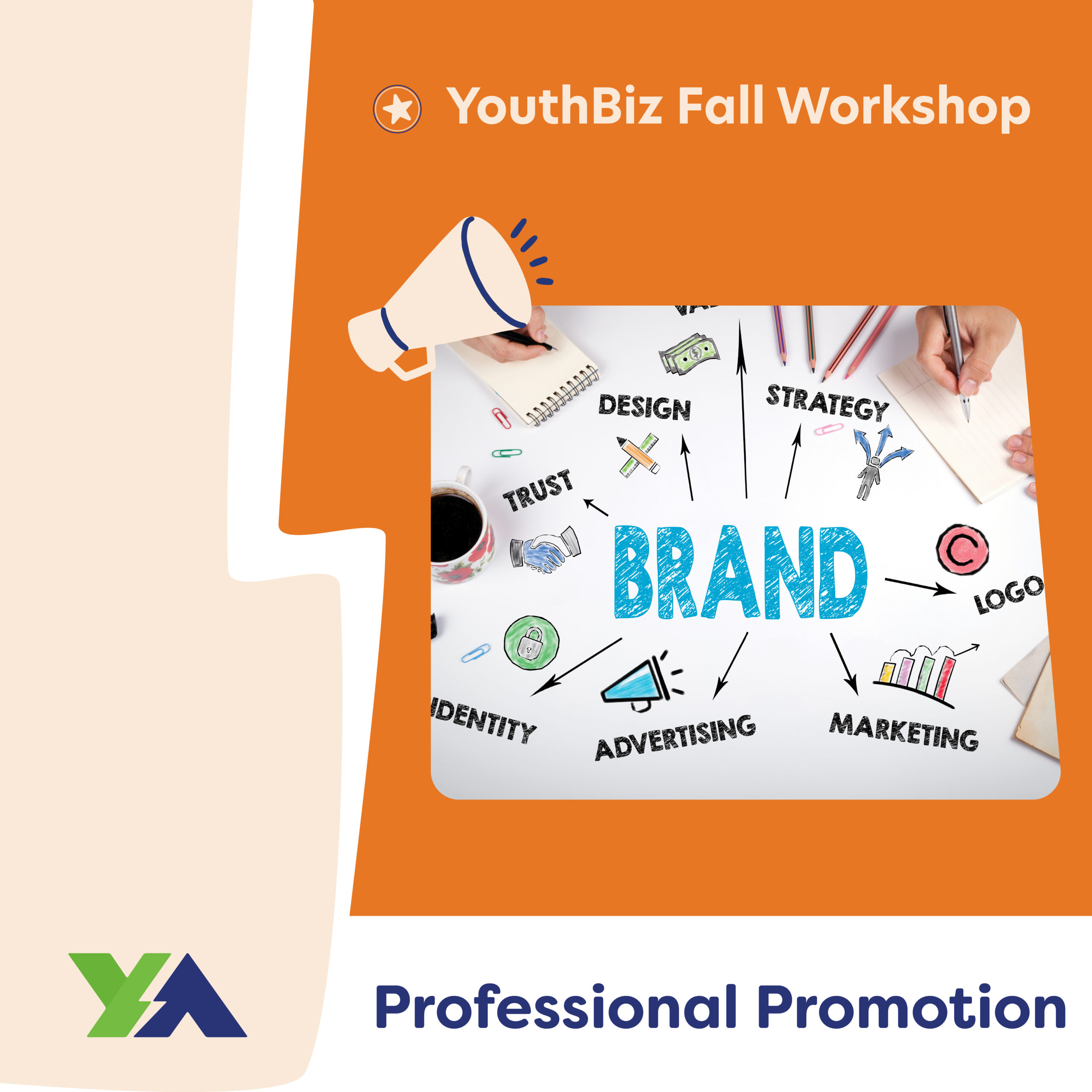Professional Promotion Workshop