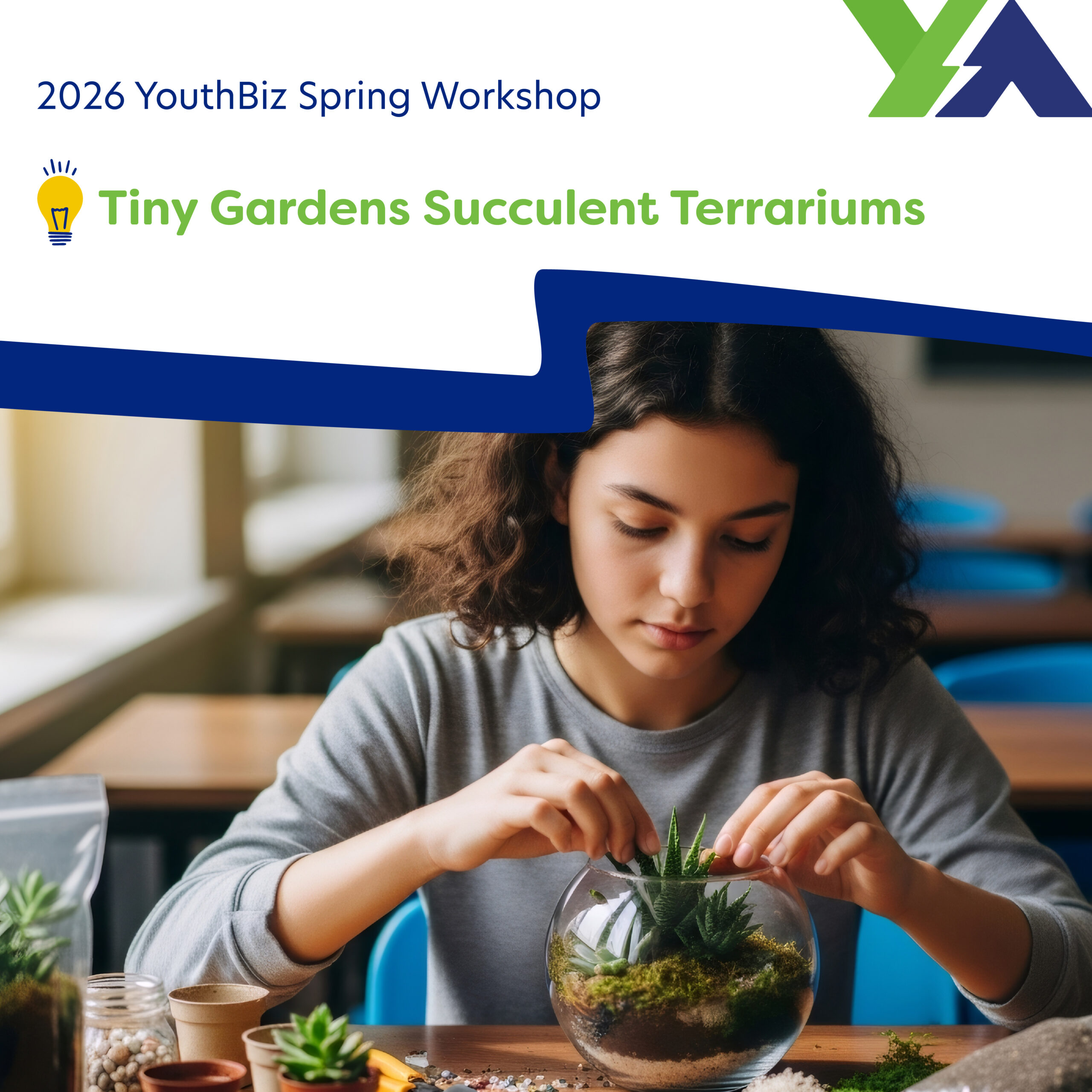 Tiny Gardens Succulent Terrariums